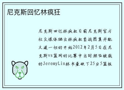 尼克斯回忆林疯狂